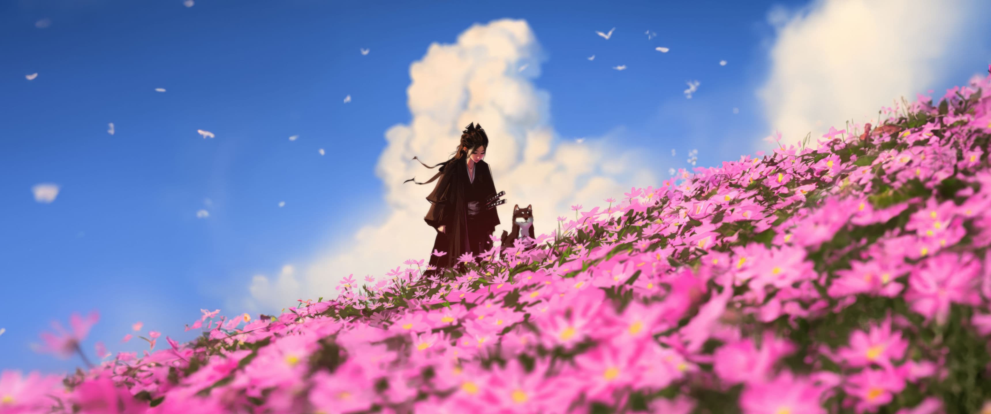 Flower Fields